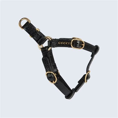 gucci cat travel bag|gucci dog collars and leashes.